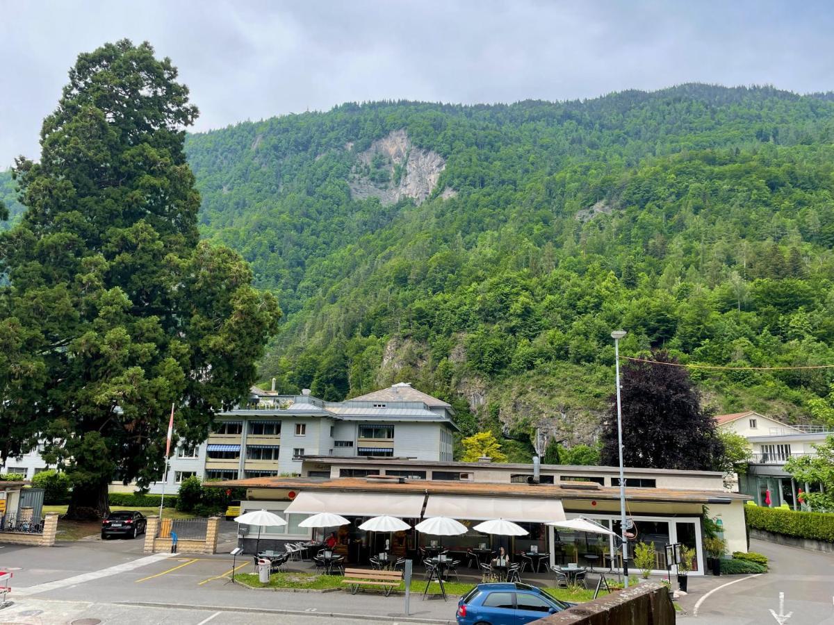 Alscher's * Interlaken